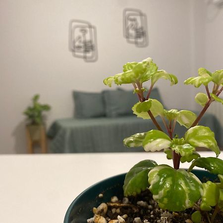 Tierra Alojamientos Salta Exterior foto